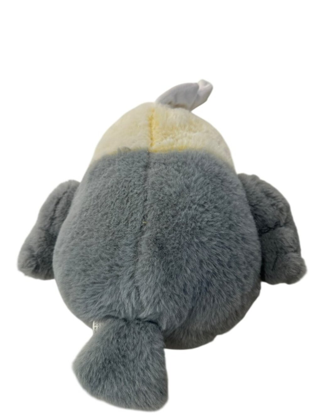 Petsmart Cockatiel Symphony Bird Plush Squeaker Soft Dog Toy 2022 Stuffed Animal - Picture 2 of 6